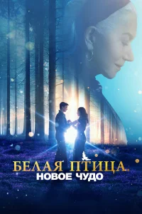 Ариэлла Глейзер, Орландо Швердт, Брайс Гейзар,